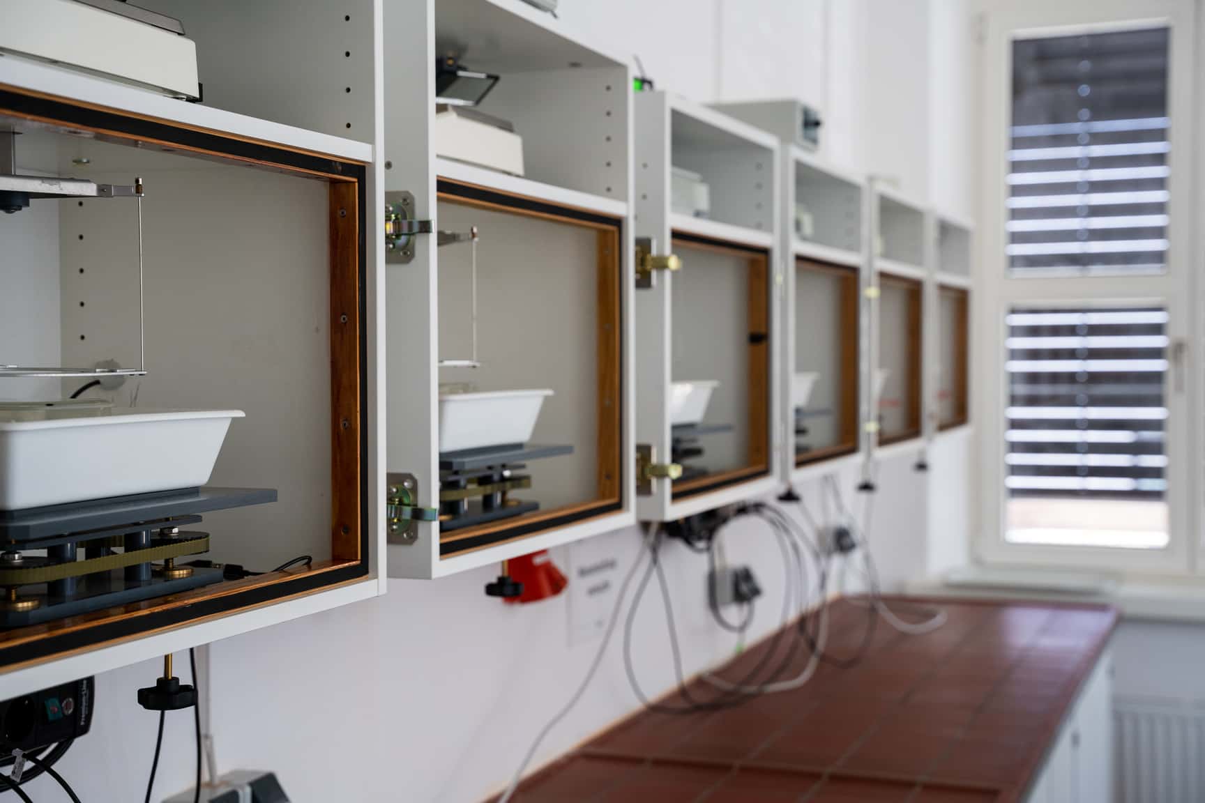 Experiment zur Bestimmung des Wasseraufnahmekoeffizienten durch kapillares Saugen