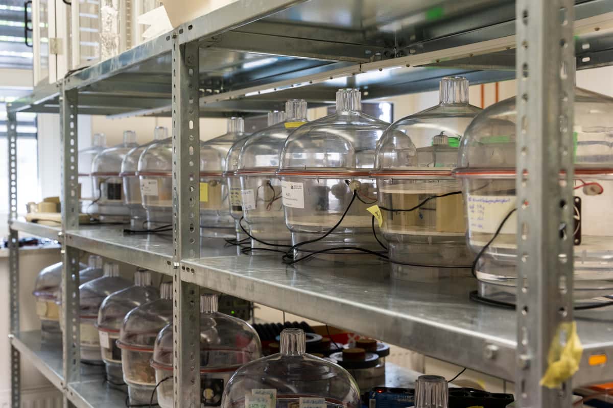 Materialproben im Labor des bauklimatischen Instituts der TU Dresden