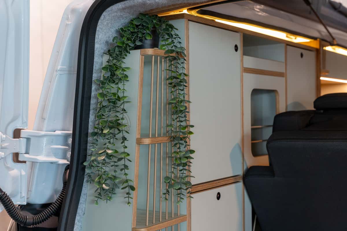 Neues Basisfahrzeug, bekannter Ellie-Look – Details im Ellie Vans Aussteller auf der CMT 2026